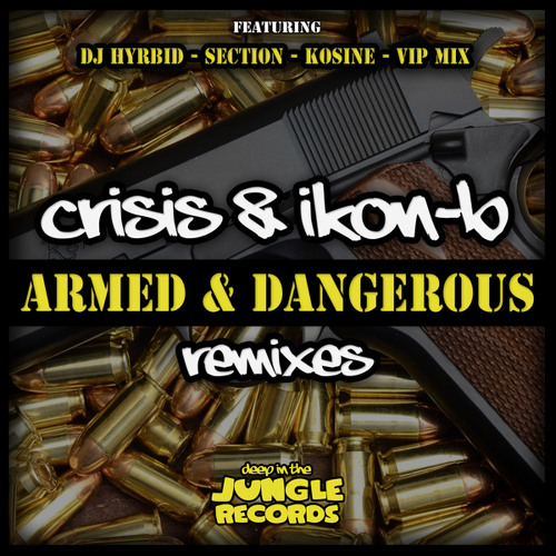 5 Reasons to Listen to Armed and Deadly DJ Excel Remix