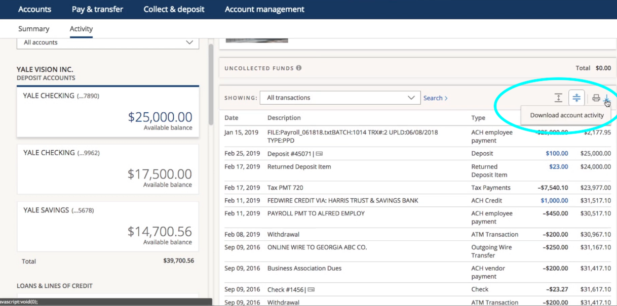 Can You Download Chase Bank Statements To Excel