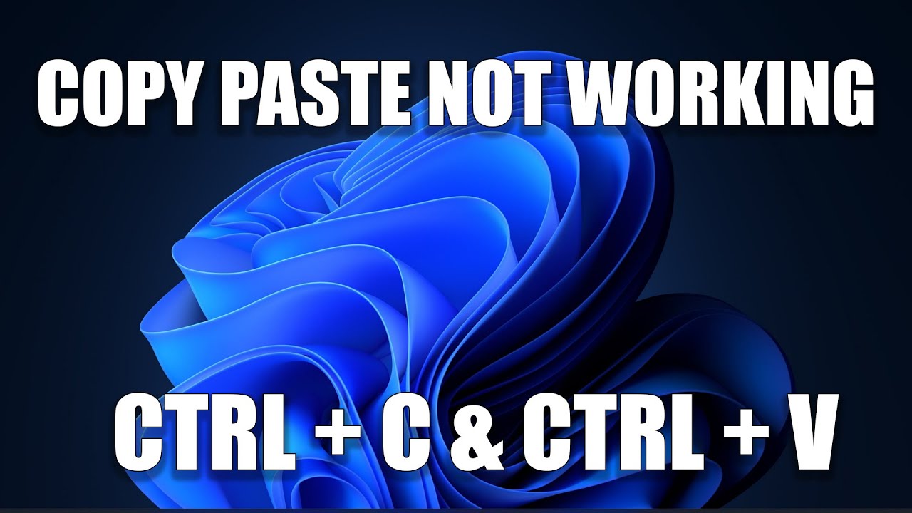 Copy And Paste Is Not Working In Excel 9 Reasons Solutions