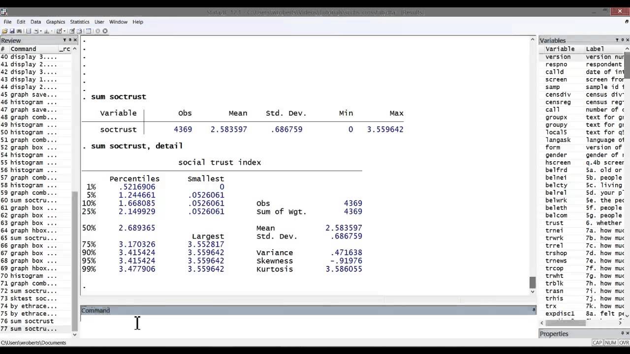 Descriptive Statistics Excel Stata