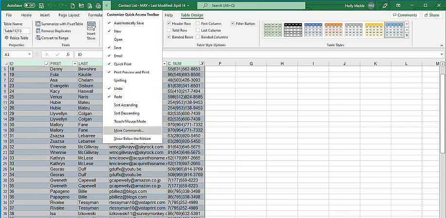 Excel Tutorial How To Insert Email Into Excel Excel Dashboards