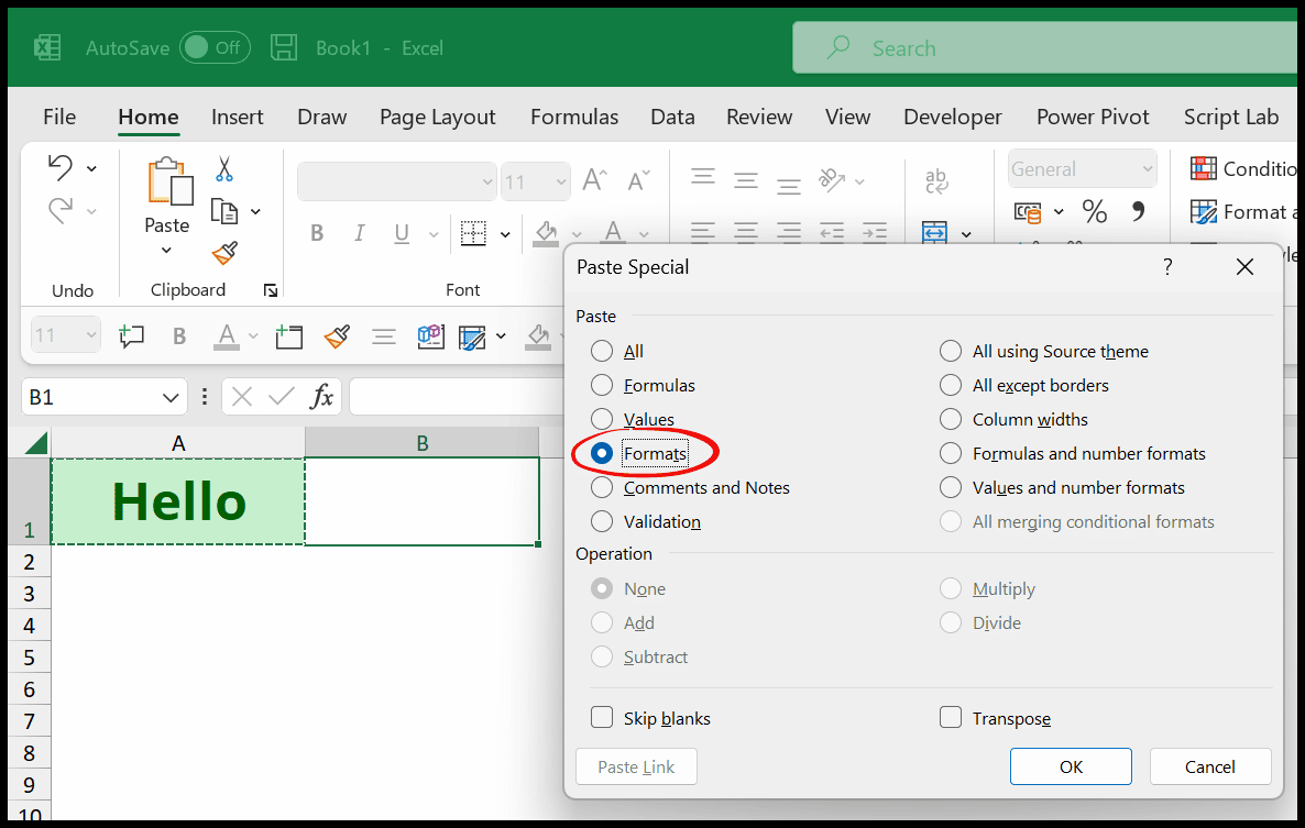 How To Copy Formatting In Excel