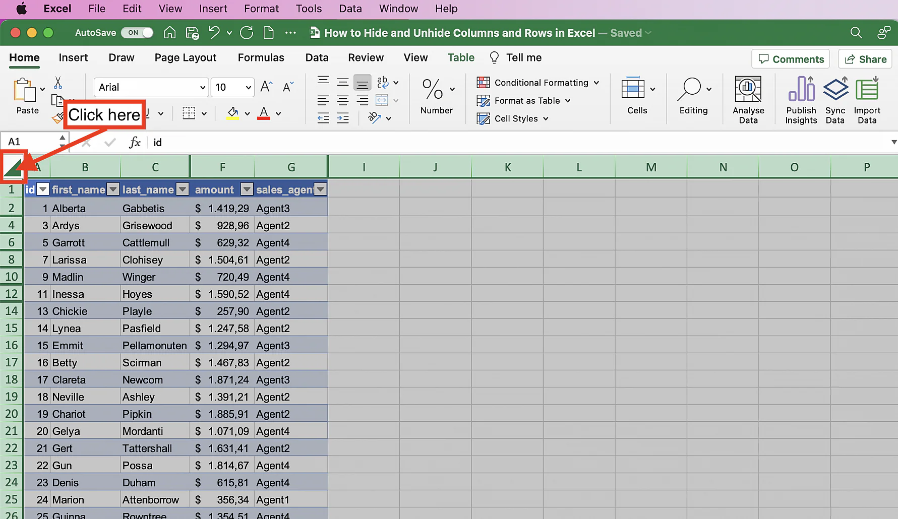 How To Hide And Unhide Rows In Excel 2024