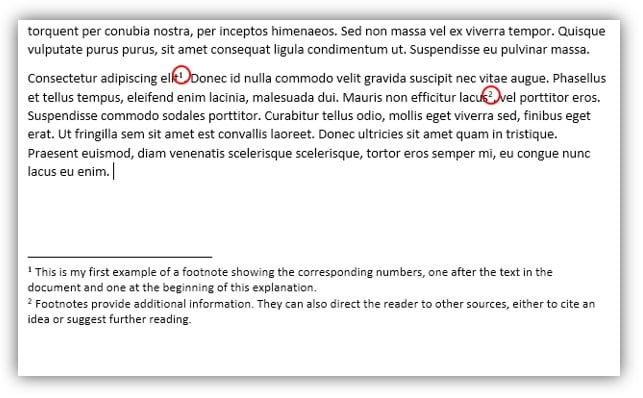 How To Write Footnotes Footnotes Should Match With A Superscript