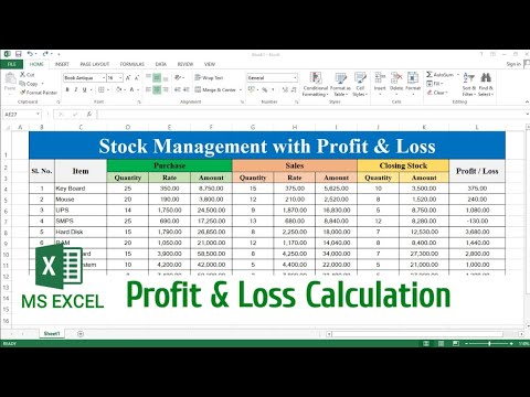 Profit And Loss Statement Format Excel Inflation Protection