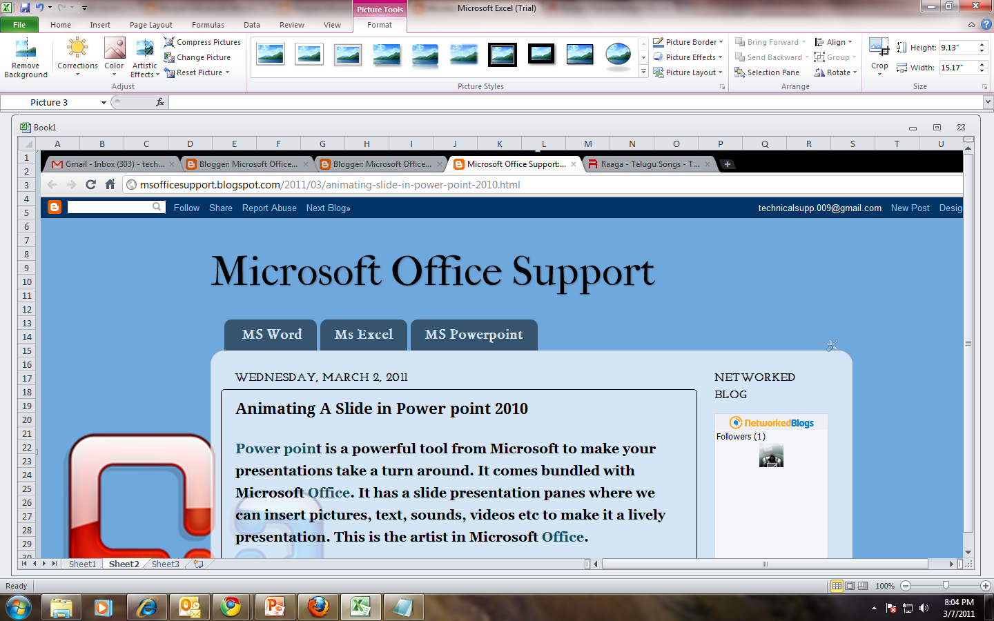 Screenshots In Microsoft Excel 2010 Microsoft Office Support