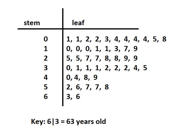 Stem And Leaf Chart